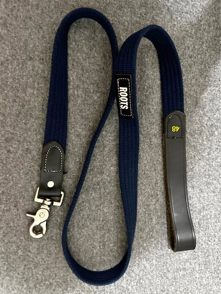 Roots 4 ft Navy Blue Dog Leash