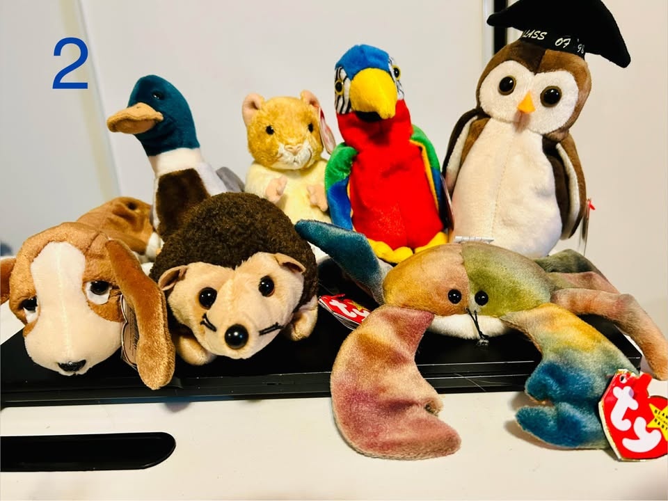 Huge Selection of Beanie Babies w Tags - photo 2