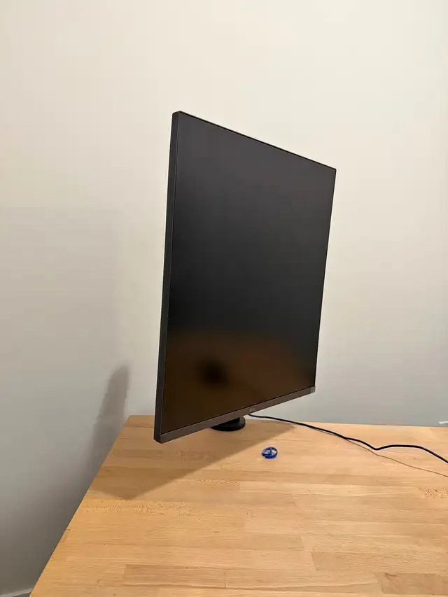 LG DualUp 28" Monitor (16:18)