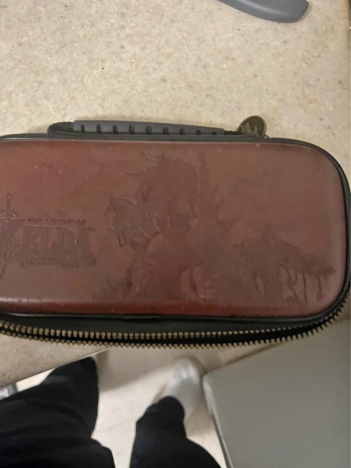 Nintendo Switch Link Case