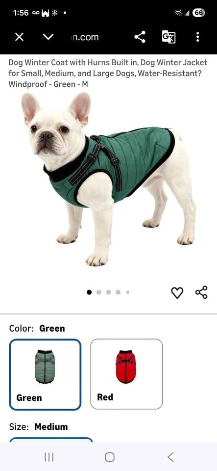Dog Winter Coat