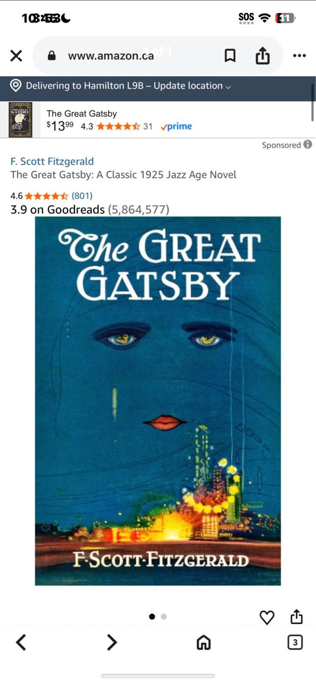 The Great Gatsby book