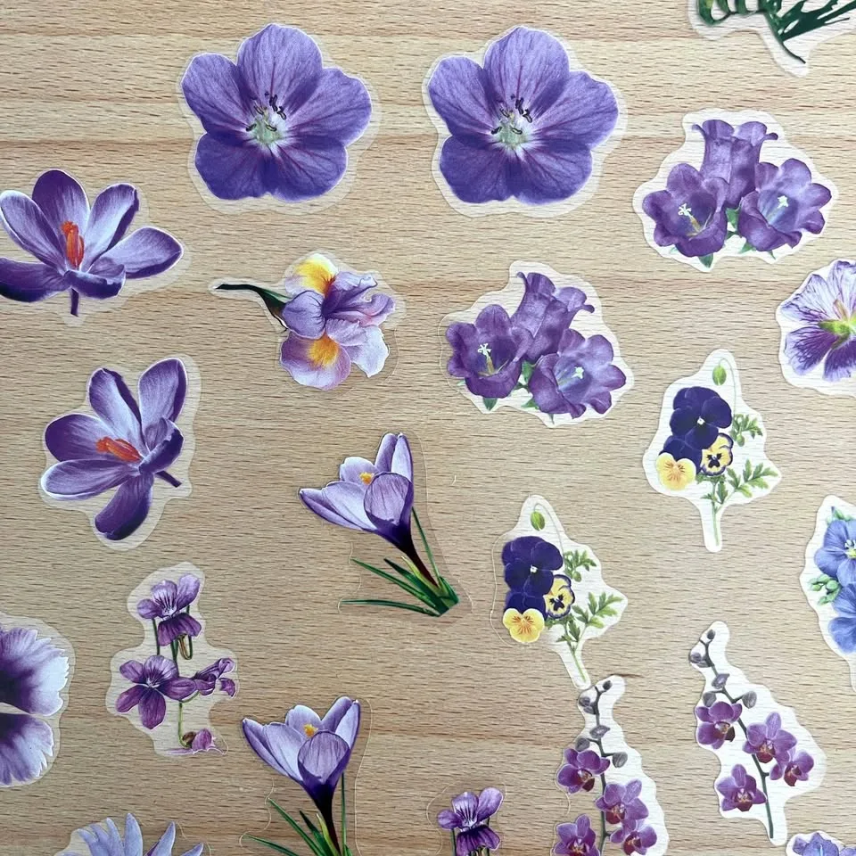 Pack of 50 Small Journal Orchids Transparent Stickers 🥕 thumbnail