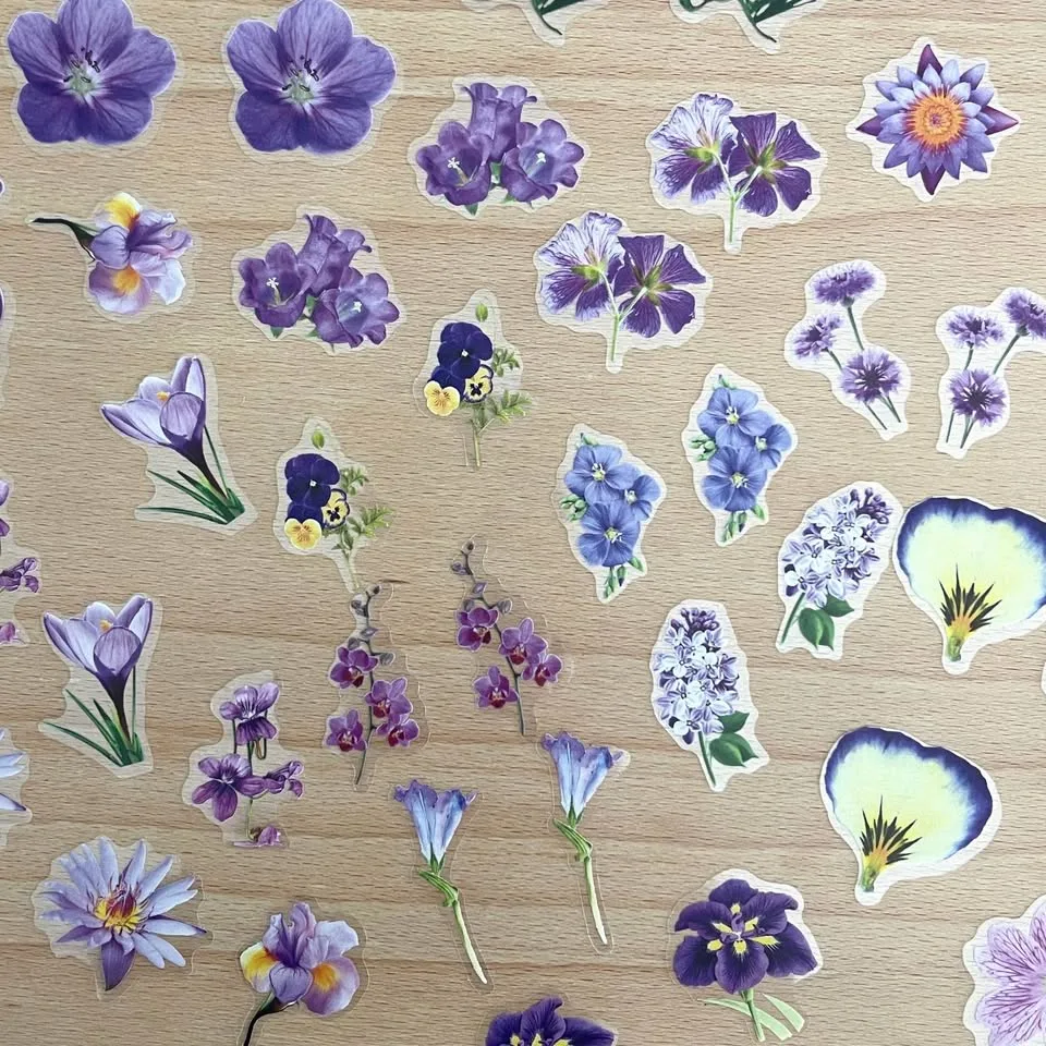 Pack of 50 Small Journal Orchids Transparent Stickers 🥕 image indicator(4)