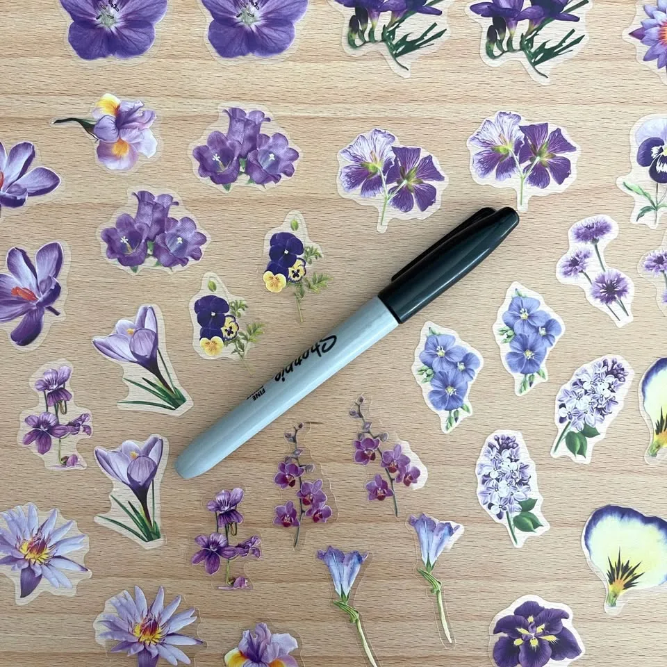 Pack of 50 Small Journal Orchids Transparent Stickers 🥕 image indicator(5)