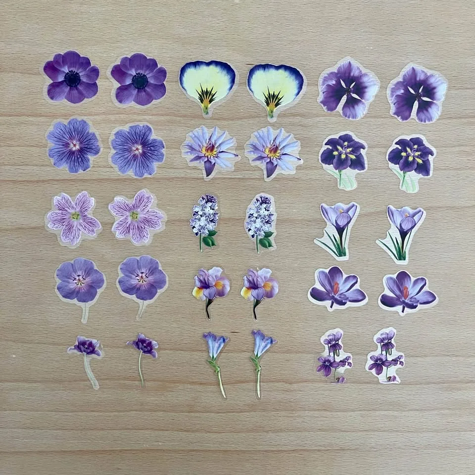Pack of 50 Small Journal Orchids Transparent Stickers 🥕 image indicator(6)
