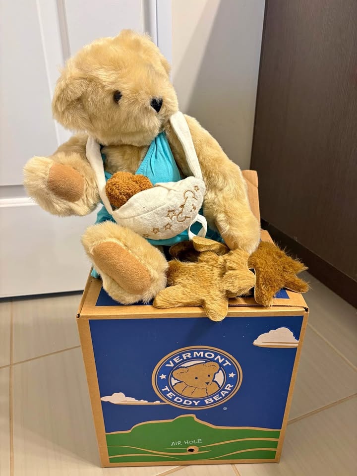 Vermont Teddy Bear Plush – Cute Gift