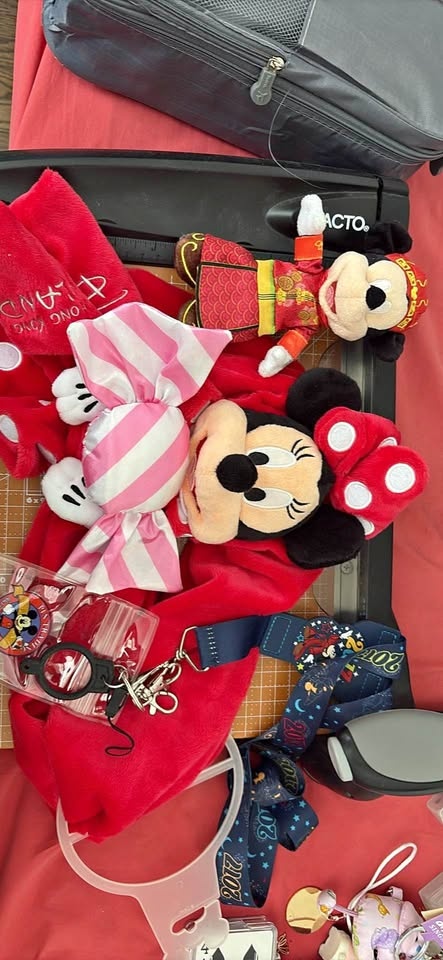 Disney Minnie & Mickey Plush and Accessories Bundle