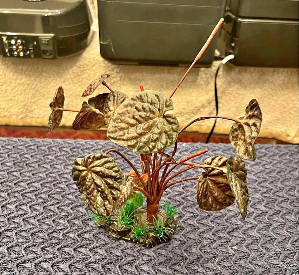 New Aquarium Top Fin Tree Decor Fish Tank