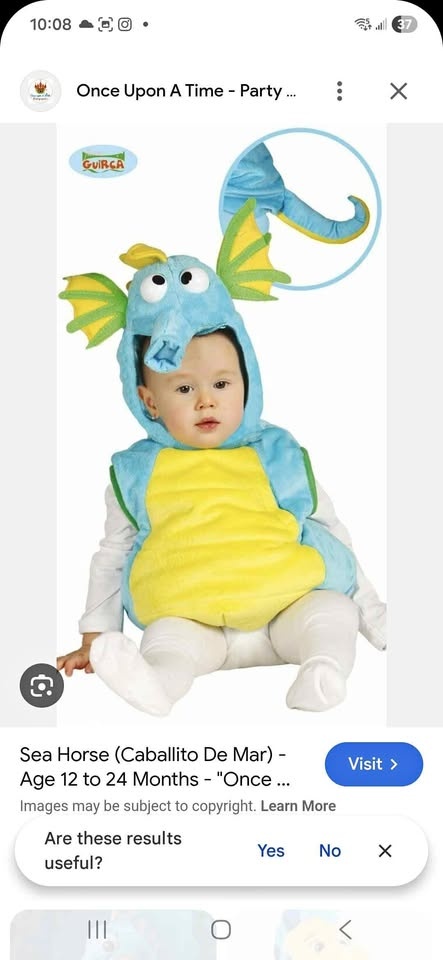 Seahorse Costume, 6 to 12 months