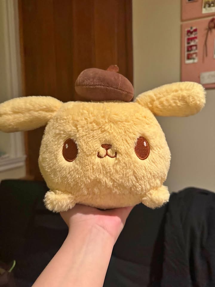 Sanrio Plushes and Miniso Chicken
