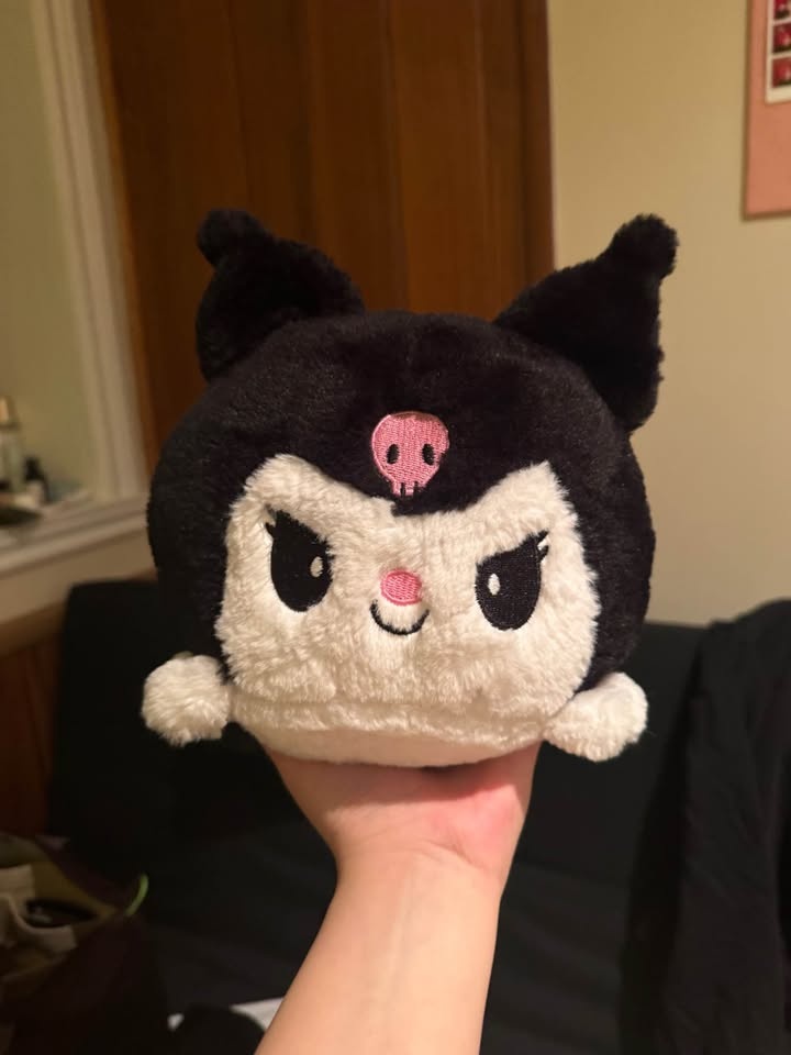 Sanrio Plushes and Miniso Chicken - photo 2
