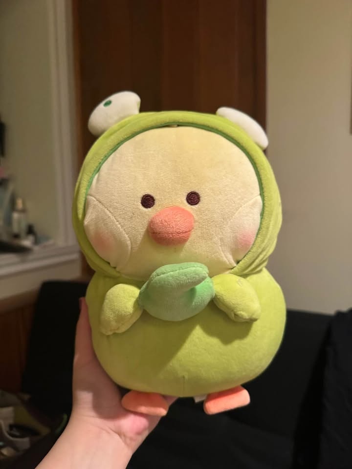 Sanrio Plushes and Miniso Chicken - photo 3