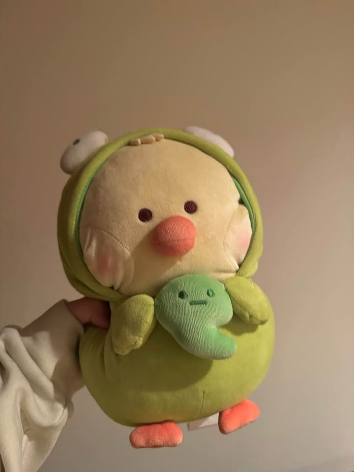 Stuffed Animals - photo 2