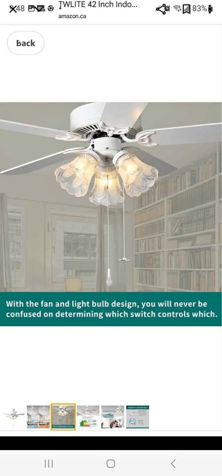 TWLITE 42 Inch Indoor Ceiling Fan with Pull-Chain