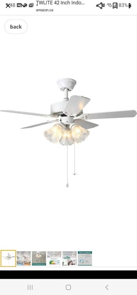 TWLITE 42 Inch Indoor Ceiling Fan with Pull-Chain - photo 2