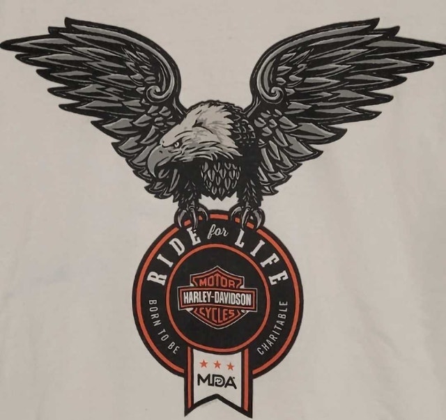 Harley-Davidson Large White Tee - photo 5