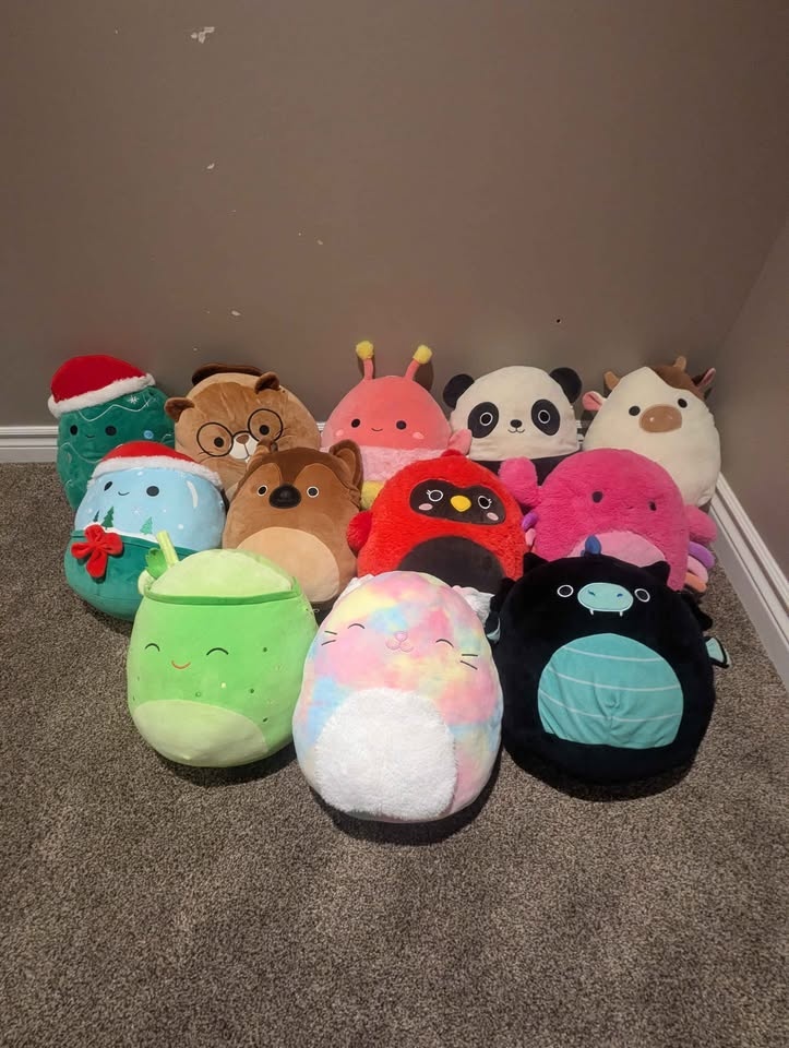 Squishmallow collection - photo 3