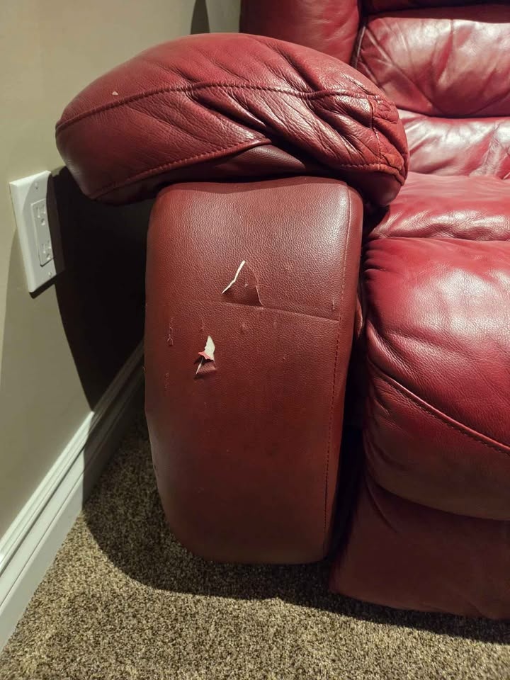 Red couch (NEED GONE) - photo 4