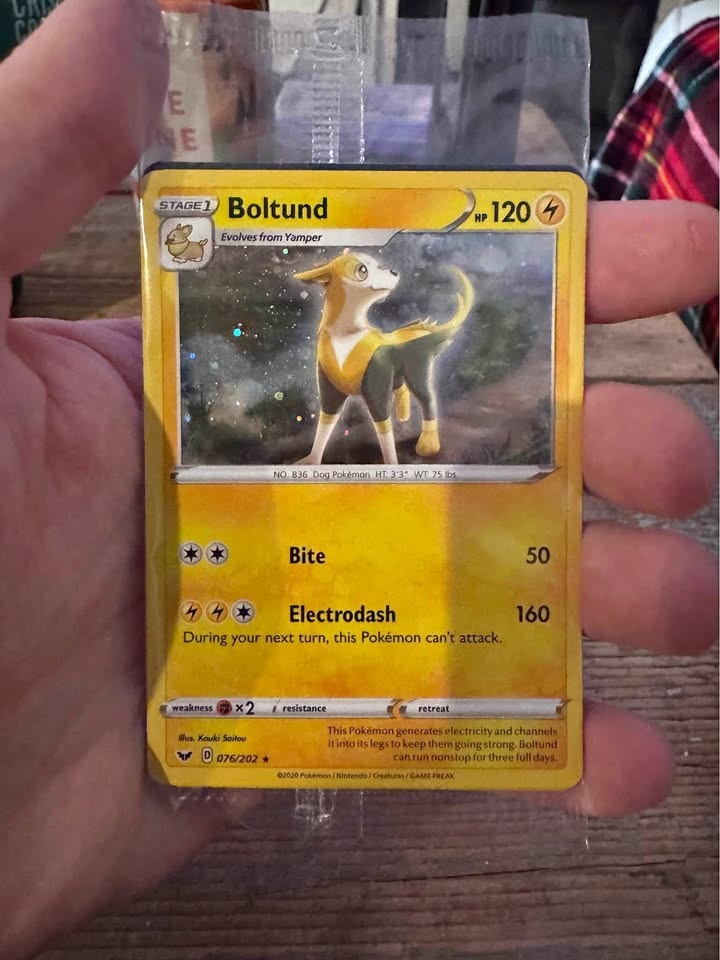 Sealed Pokemon Boltund 076/202 Knockout Collection Promo Pack