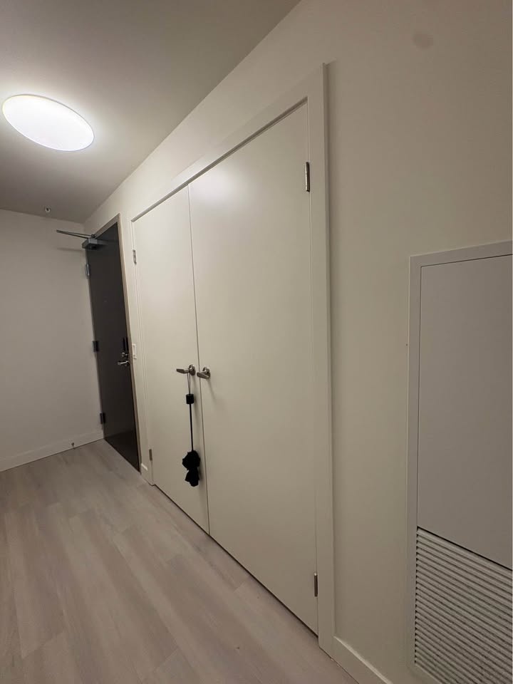 1 Bedroom in 2b2b Condo for Rent (Lease Takeover) - photo 4