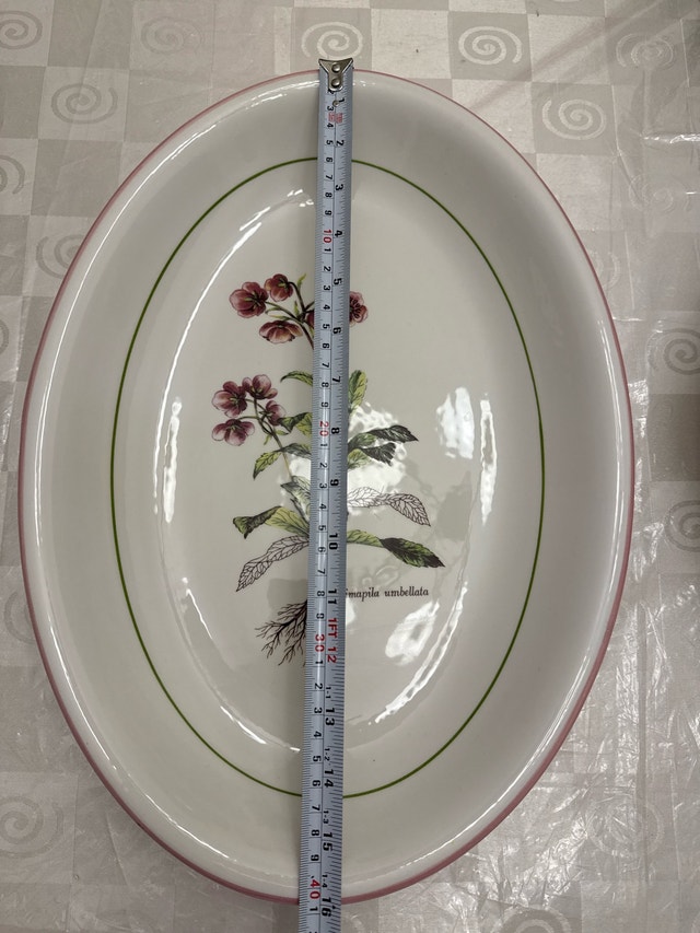 Guzzini Salad Bowl and Platter - photo 4