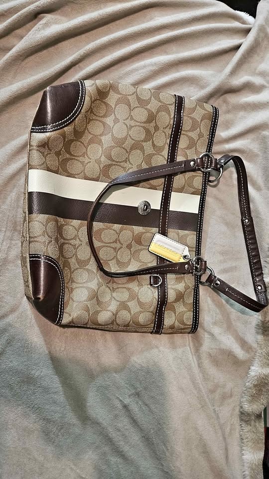 Coach Heritage Stripe Chelsea Bag