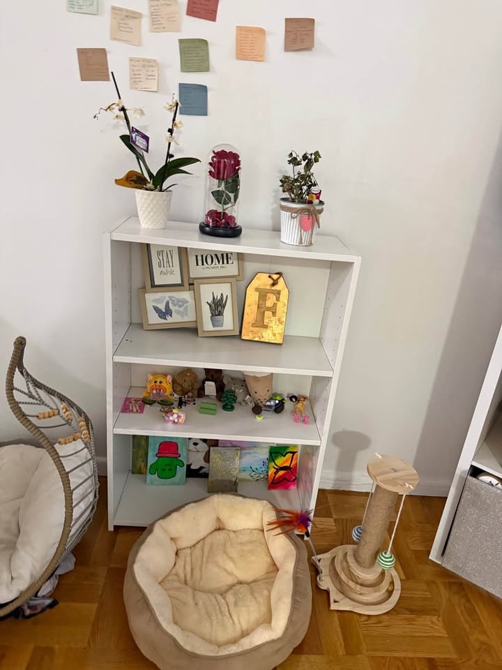 Standing Desk, Organizer, AC