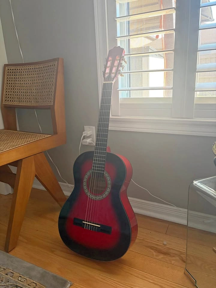 Acoustic Guitar