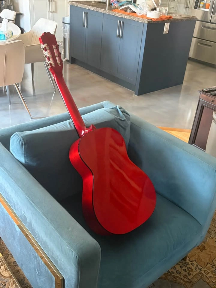 Acoustic Guitar - photo 4