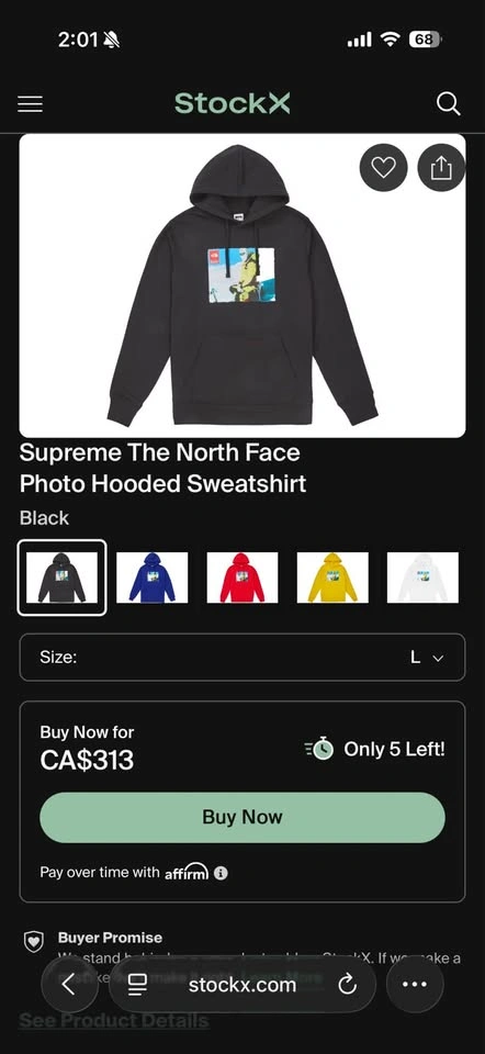 SUPREME X NORTHFACE BLACK PHOTO HOODIE (Large) - photo 5