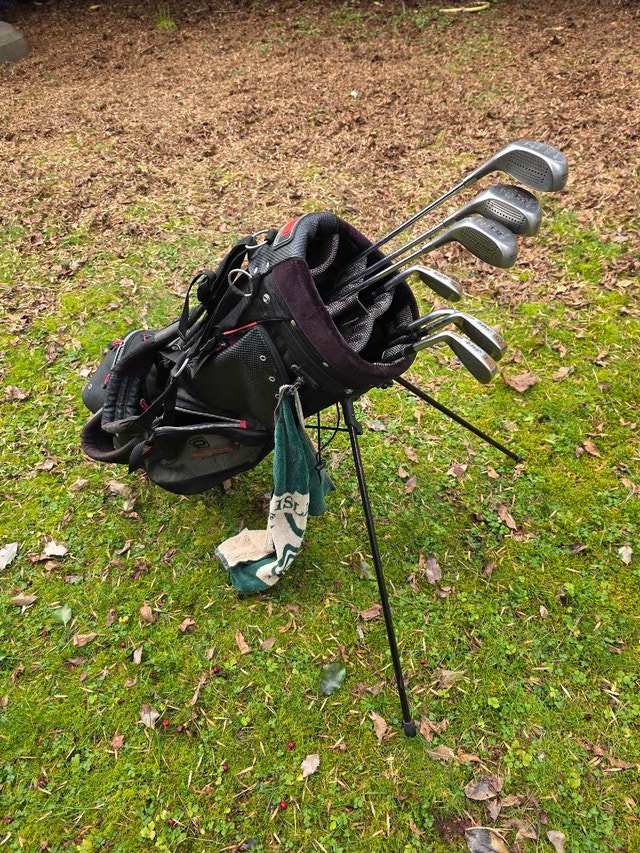 PowerBilt Golf Clubs