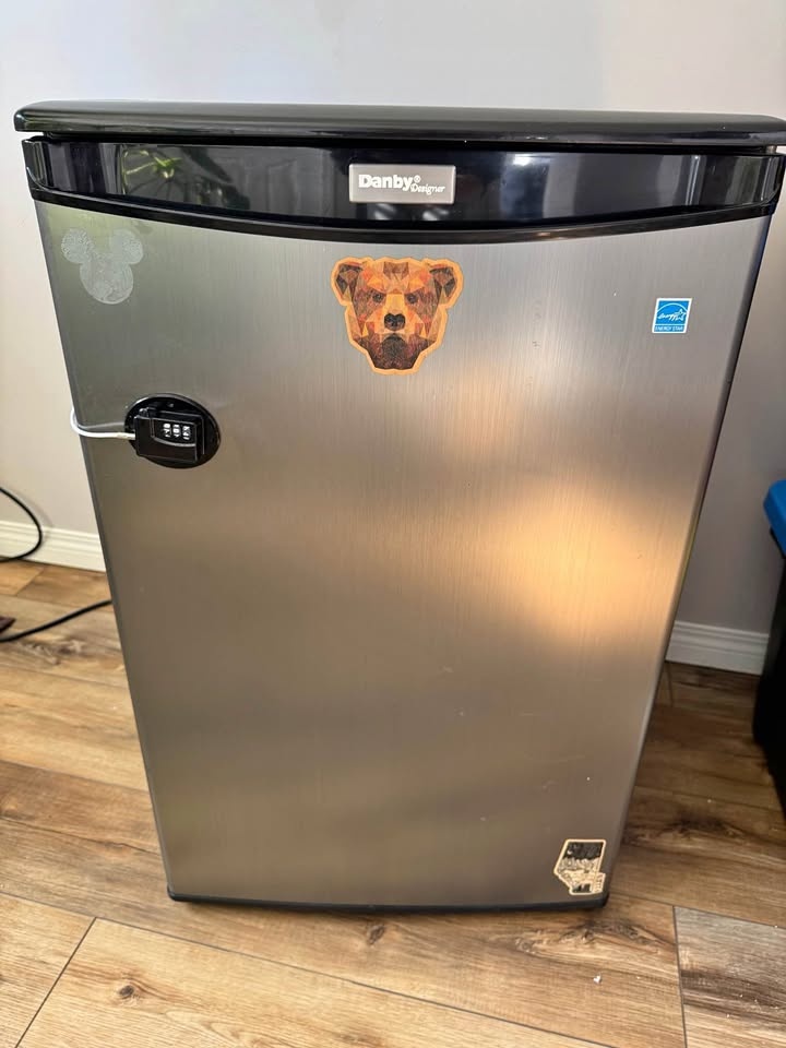 Mini Fridge