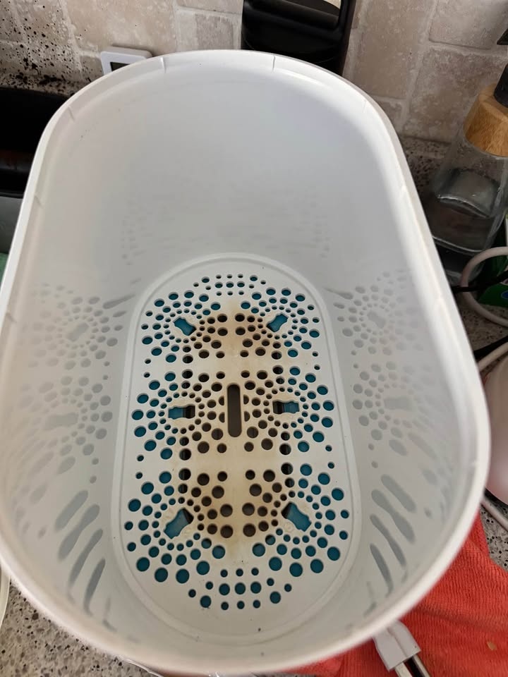Philips Avent Electric Steam Sterilizer – Great Condition 🍼✨ - photo 3