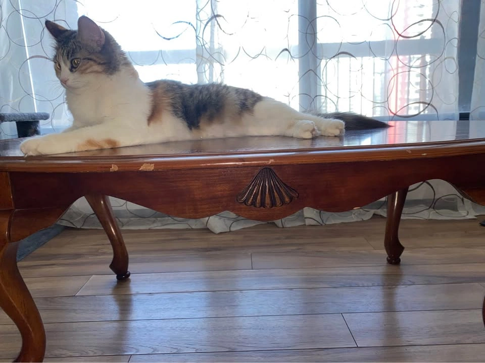 Antique Coffee table for sale - photo 4