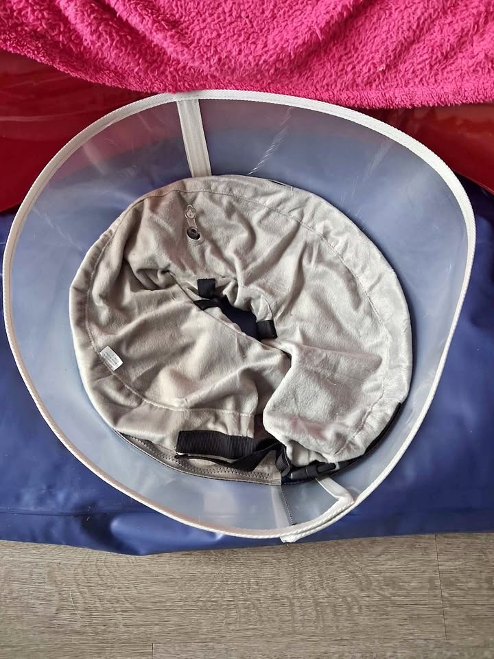 Pet Recovery Collar Cone - Soft Fabric with Zipper