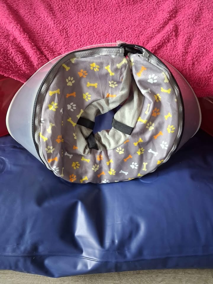 Pet Recovery Collar Cone - Soft Fabric with Zipper - photo 2