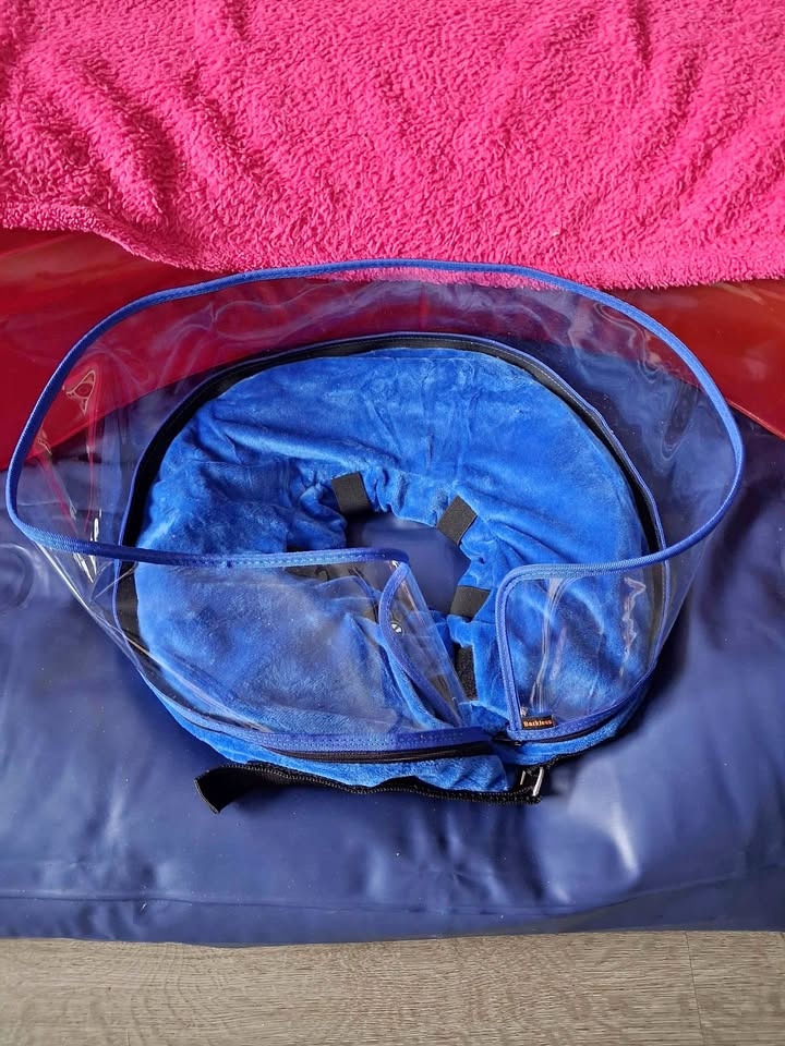 Blue Pet Recovery Collar