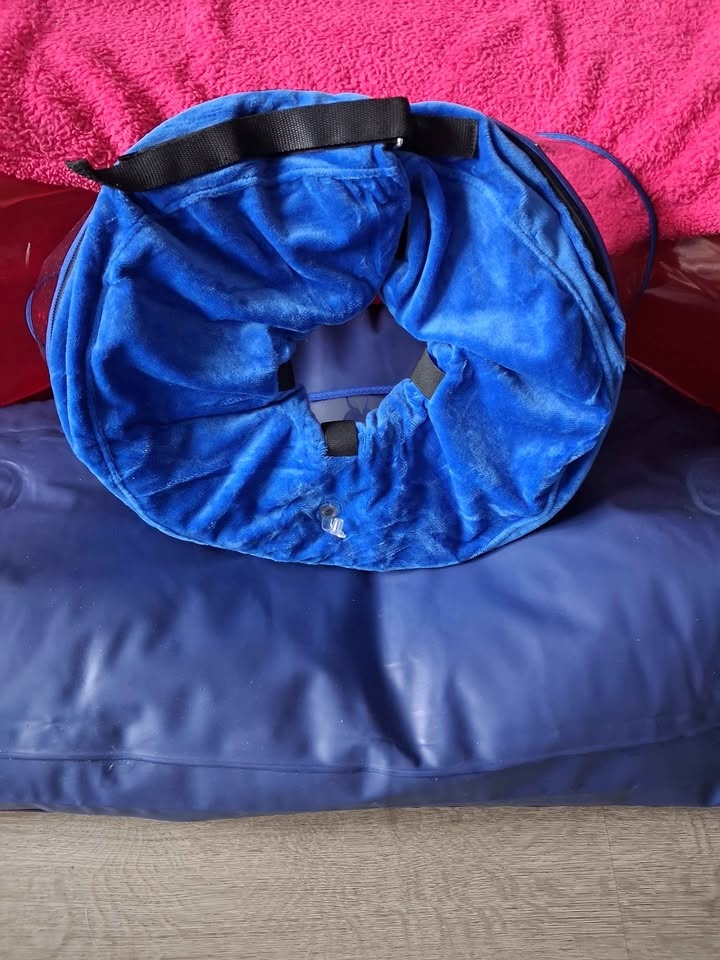 Blue Pet Recovery Collar - photo 2