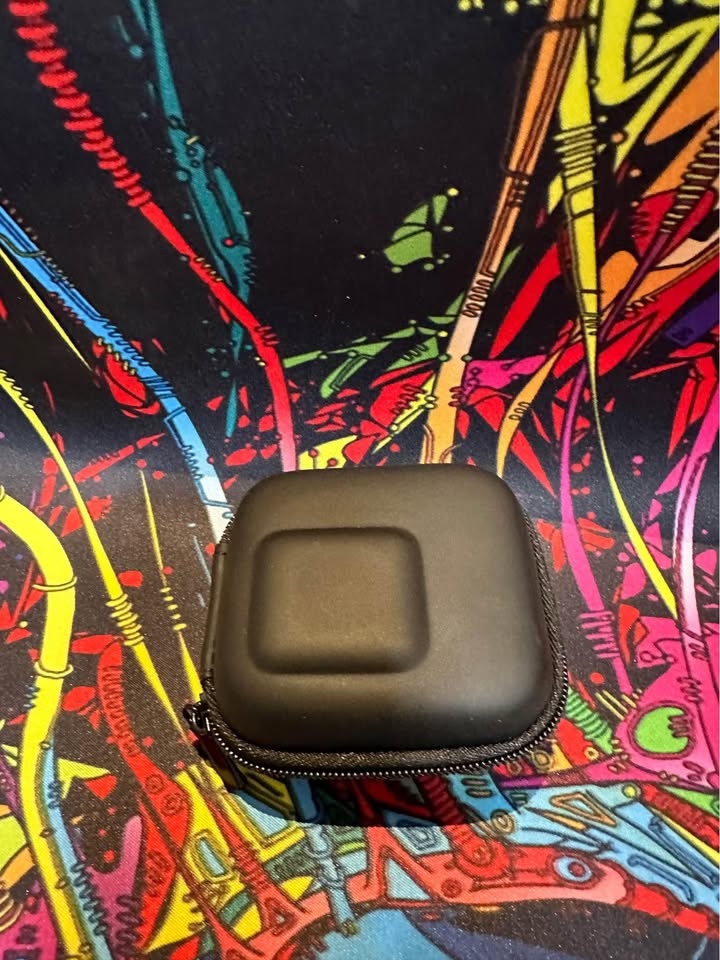 GoPro Small Travel Case