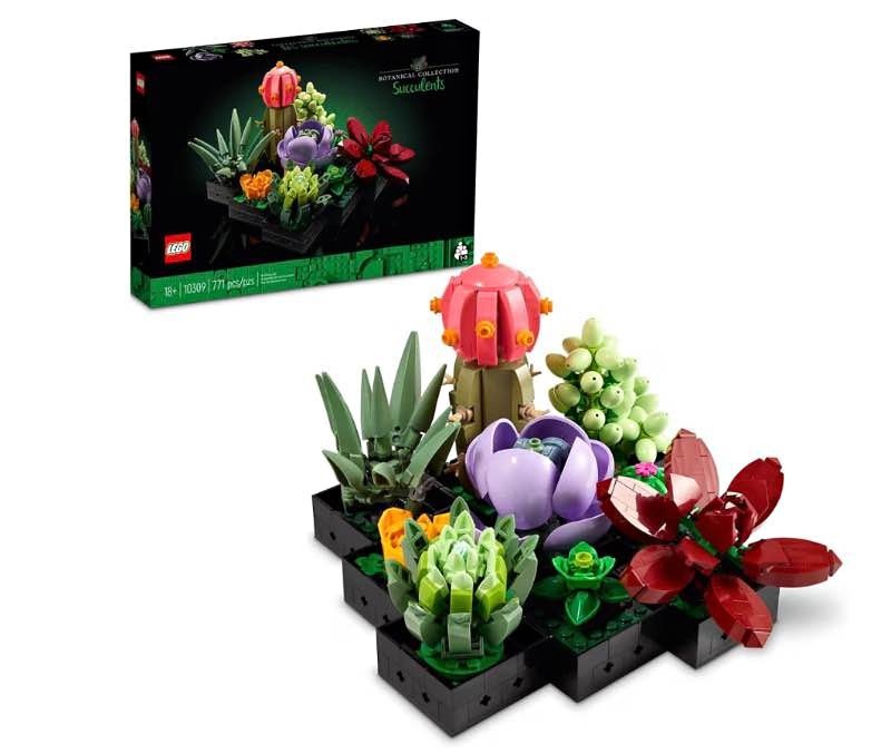 Opened and built succulent Lego set