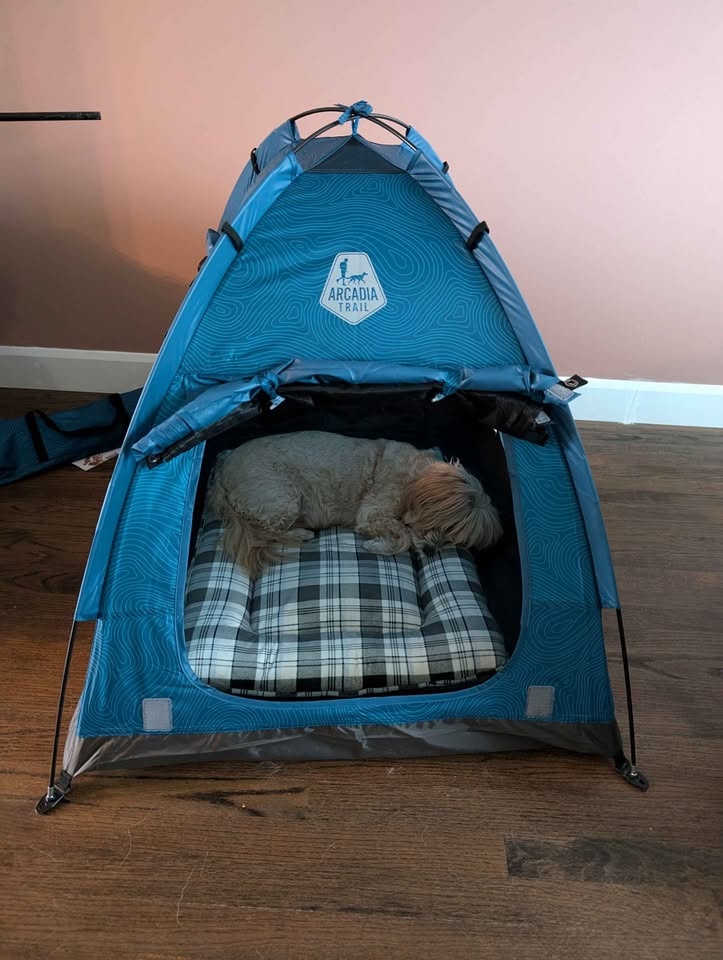 Dog tent - photo 2