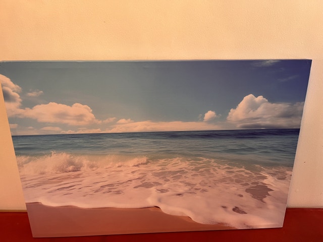 NEW Beach Ocean Waves Canvas Print 24"x36"