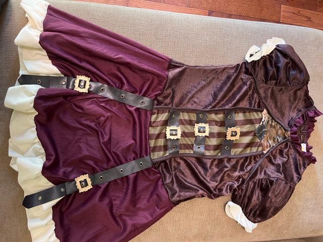 NEW Steampunk Dress Tween Size Costume