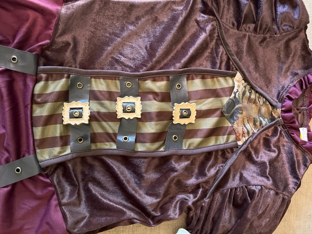 NEW Steampunk Dress Tween Size Costume - photo 2