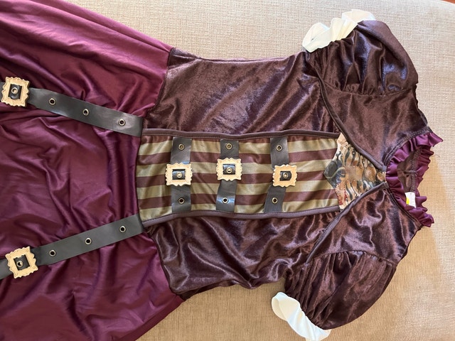 NEW Steampunk Dress Tween Size Costume - photo 3