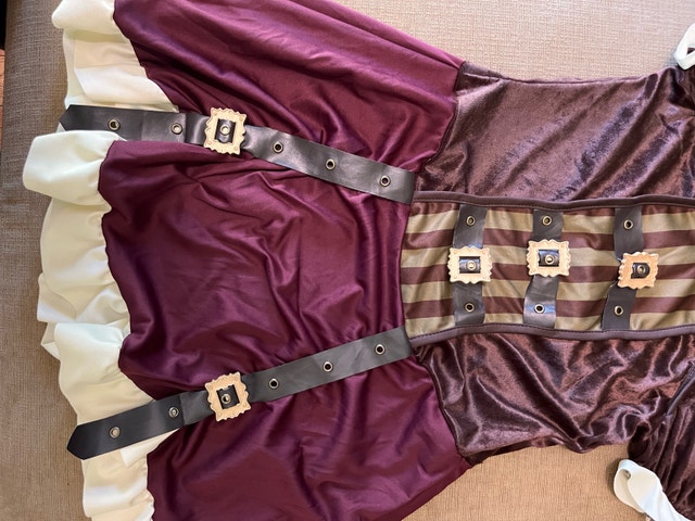 NEW Steampunk Dress Tween Size Costume - photo 4