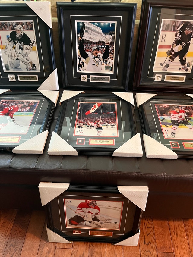 Framed Hockey $20 each Luongo Toews Malkin Fleury