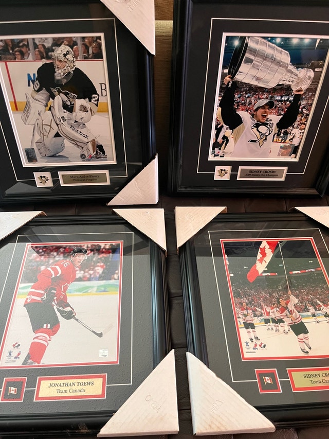 Framed Hockey $20 each Luongo Toews Malkin Fleury - photo 3