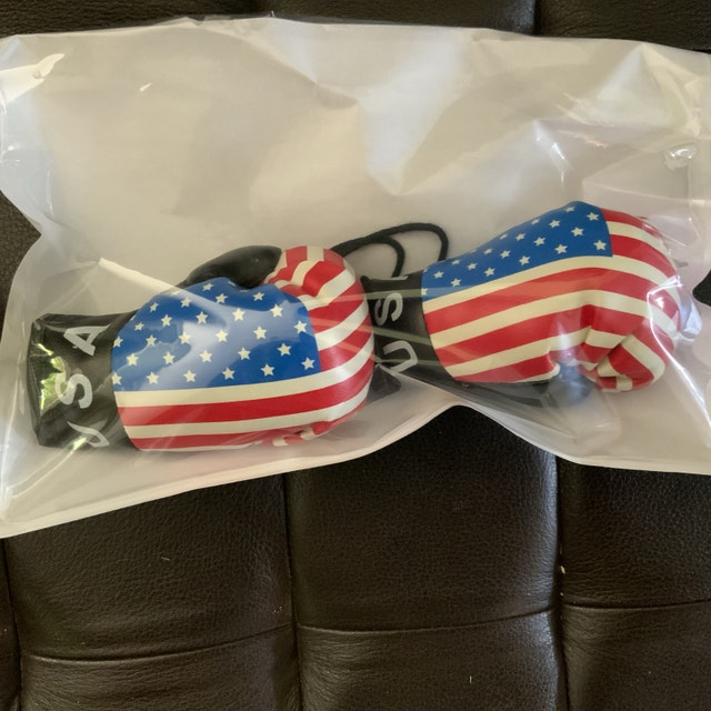 USA Flag Mini Boxing Gloves $10 for a Pair